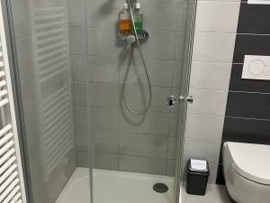Pronájem bytu 1+kk, Prostějov, Winklerova, 39 m2