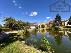 Prodej rodinného domu, Bor - Borovany, 280 m2