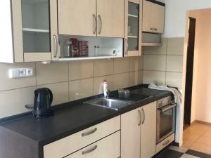 Pronájem bytu 3+kk, Červená Voda, Červená Voda, 67 m2