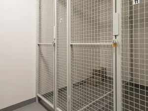Pronájem bytu 2+kk, Rakovník, Maru Špačkové, 62 m2