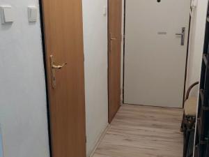 Pronájem bytu 2+1, Olomouc, Foerstrova, 55 m2
