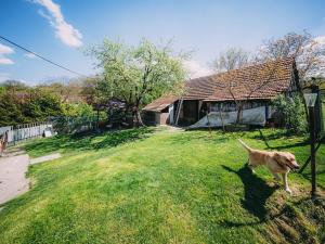 Prodej rodinného domu, Bojkovice, 104 m2