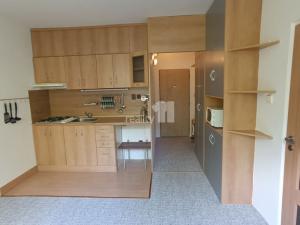 Pronájem bytu 2+kk, Ústí nad Labem - Střekov, Tolstého, 36 m2
