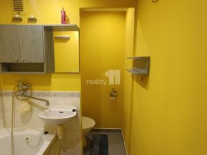 Pronájem bytu 2+kk, Ústí nad Labem - Střekov, Tolstého, 36 m2