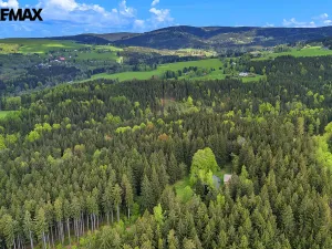 Prodej chalupy, Rokytnice v Orlických horách, 37 m2