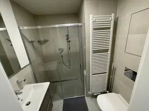Pronájem bytu 1+kk, Praha - Libeň, Na sypkém, 24 m2