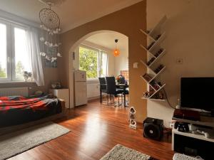 Prodej bytu 1+1, Mikulášovice, 32 m2