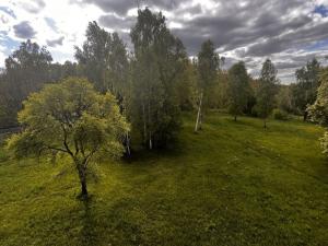 Prodej bytu 1+1, Mikulášovice, 32 m2