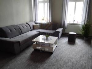 Pronájem bytu 1+1, Karlovy Vary - Rybáře, Sokolovská, 45 m2