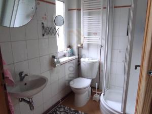 Pronájem bytu 1+1, Karlovy Vary - Rybáře, Sokolovská, 45 m2