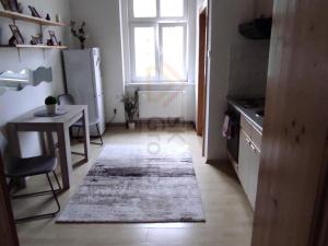 Pronájem bytu 1+1, Karlovy Vary - Rybáře, Sokolovská, 45 m2
