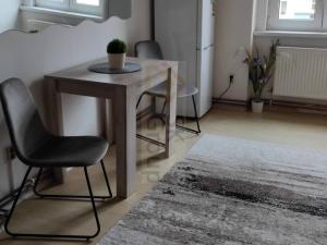 Pronájem bytu 1+1, Karlovy Vary - Rybáře, Sokolovská, 45 m2