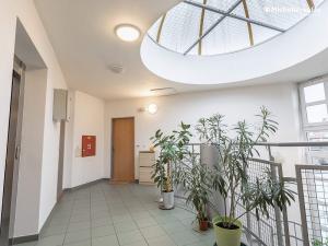 Pronájem bytu 2+kk, Praha - Libeň, Na sypkém, 62 m2