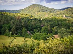 Pronájem chaty, Hřebečníky, 108 m2