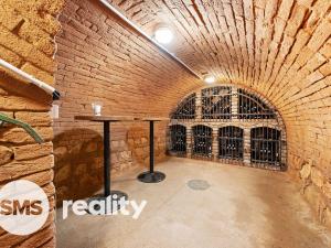 Prodej apartmánu, Milovice, 255 m2