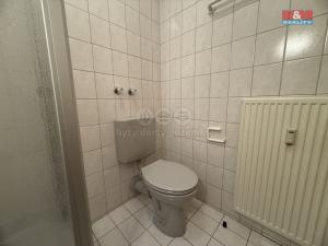 Prodej bytu 1+1, Železná Ruda, 30 m2