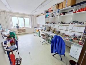 Prodej obchodního prostoru, Třebíč - Borovina, 560 m2