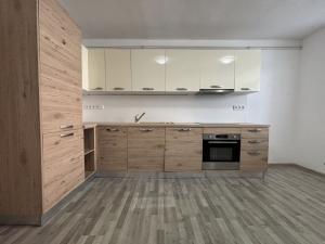 Pronájem bytu 1+1, České Budějovice - České Budějovice 4, Dobrovodská, 41 m2