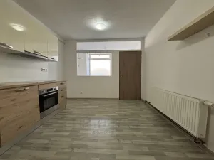 Pronájem bytu 1+1, České Budějovice - České Budějovice 4, Dobrovodská, 41 m2