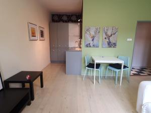 Pronájem bytu 2+kk, Praha - Vinohrady, Slezská, 50 m2