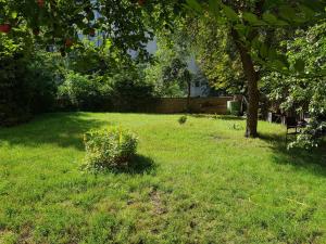 Pronájem bytu 2+kk, Praha - Vinohrady, Slezská, 50 m2