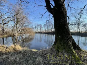Prodej rybníku, Žulová, 7142 m2