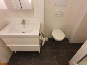 Pronájem bytu 2+1, Praha - Libeň, Braunerova, 45 m2