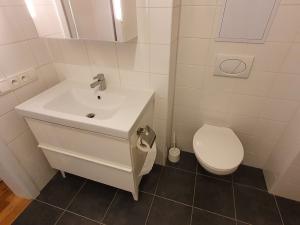 Pronájem bytu 2+1, Praha - Libeň, Braunerova, 45 m2