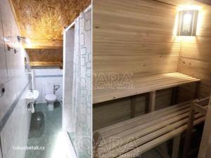 Pronájem bytu 1+kk, Ledenice, 20 m2
