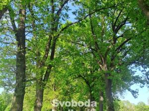 Prodej chaty, Orlík nad Vltavou - Staré Sedlo, 32 m2