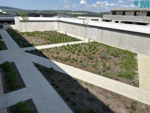 Pronájem bytu 1+kk, Jihlava, Purmerendská, 40 m2