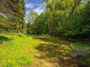Prodej zemědělské usedlosti, Nové Město pod Smrkem, 235 m2
