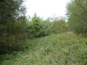 Dražba pozemku, Slavonice, 1848 m2