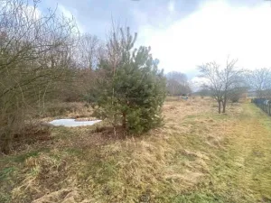 Dražba louky, Soběnov, 1848 m2