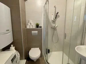 Pronájem bytu 2+kk, Plzeň, Nad Týncem, 46 m2