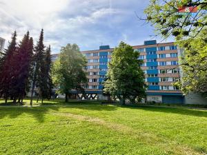 Prodej bytu 2+1, Karviná - Ráj, Borovského, 55 m2