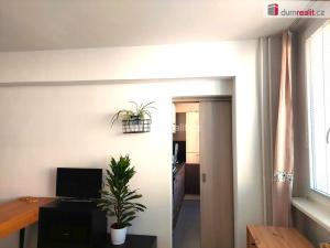Pronájem bytu 1+1, Kralupy nad Vltavou, sídl. Hůrka, 40 m2