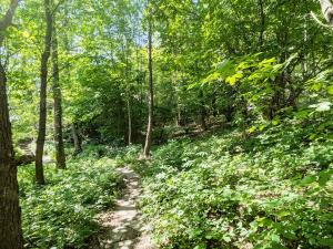 Prodej bytu 1+kk, Havířov, Slunečná, 23 m2
