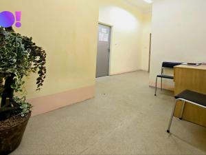 Pronájem obchodního prostoru, Karviná, Havířská, 59 m2