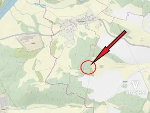 Prodej lesa, Svatý Jan, 4173 m2