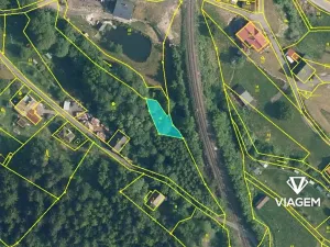 Prodej podílu lesa, Plavy, 1113 m2
