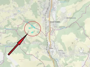Prodej podílu lesa, Plavy, 1113 m2