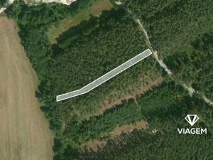Prodej lesa, Nekmíř, 2402 m2