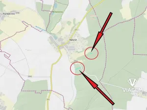 Prodej lesa, Nekmíř, 2402 m2