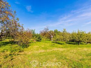 Prodej zahrady, Šatov, 877 m2