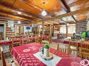 Prodej ubytování, Olešnice v Orlických horách, 1400 m2