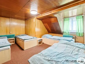 Prodej ubytování, Olešnice v Orlických horách, 1400 m2