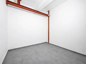 Prodej bytu 2+kk, Praha - Vinohrady, Římská, 49 m2