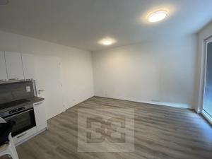 Pronájem bytu 1+kk, Plzeň, Františka Kováříka, 41 m2