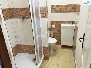 Pronájem bytu 1+kk, Dobřany, Sokolovská, 24 m2